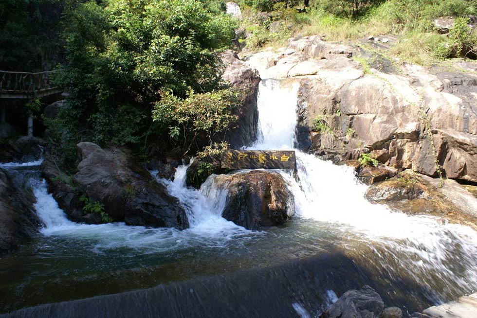 置身大自然，享受生活樂趣，朋友情深誼重